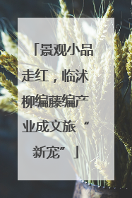 景观小品走红，临沭柳编藤编产业成文旅“新宠”