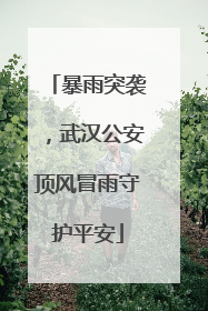 暴雨突袭，武汉公安顶风冒雨守护平安