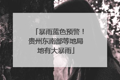 暴雨蓝色预警！贵州东南部等地局地有大暴雨