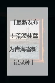 最新发布！荒漠林莺为青海省新记录种