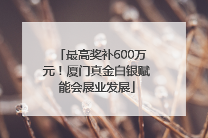 最高奖补600万元！厦门真金白银赋能会展业发展