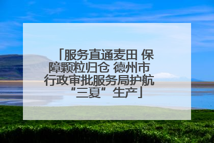 服务直通麦田 保障颗粒归仓 德州市行政审批服务局护航“三夏”生产
