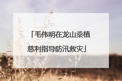 毛伟明在龙山桑植慈利指导防汛救灾