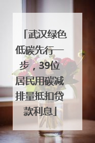 武汉绿色低碳先行一步，39位居民用碳减排量抵扣贷款利息
