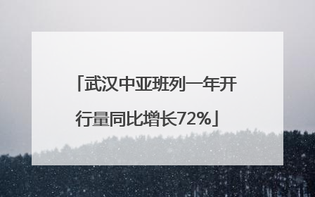 武汉中亚班列一年开行量同比增长72%