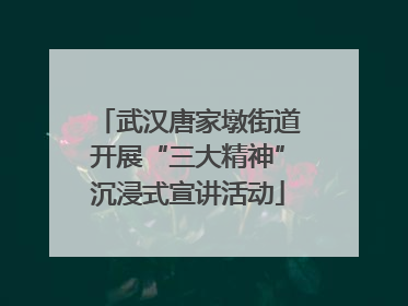 武汉唐家墩街道开展“三大精神”沉浸式宣讲活动