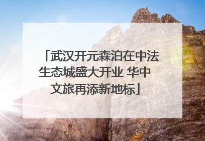 武汉开元森泊在中法生态城盛大开业 华中文旅再添新地标