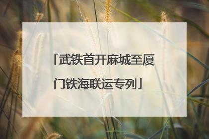 武铁首开麻城至厦门铁海联运专列