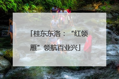 桂东东洛：“红领雁”领航百业兴
