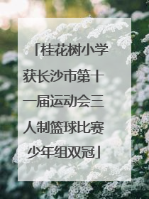 桂花树小学获长沙市第十一届运动会三人制篮球比赛少年组双冠