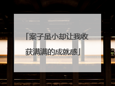 案子虽小却让我收获满满的成就感