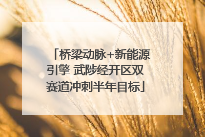 桥梁动脉+新能源引擎 武陟经开区双赛道冲刺半年目标