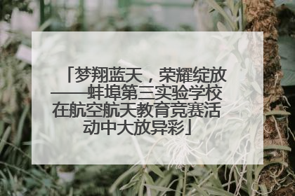梦翔蓝天，荣耀绽放——蚌埠第三实验学校在航空航天教育竞赛活动中大放异彩