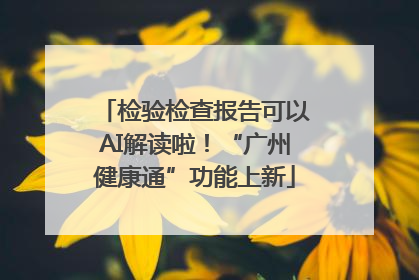 检验检查报告可以AI解读啦！“广州健康通”功能上新