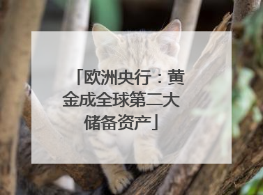 欧洲央行：黄金成全球第二大储备资产