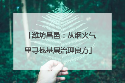 潍坊昌邑：从烟火气里寻找基层治理良方
