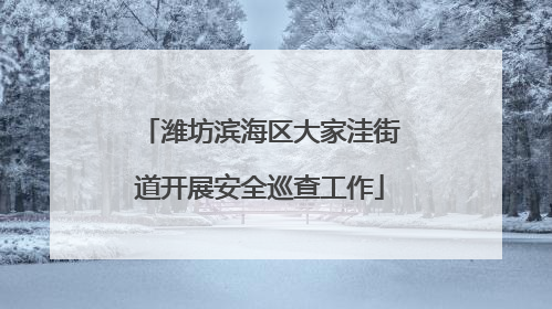 潍坊滨海区大家洼街道开展安全巡查工作