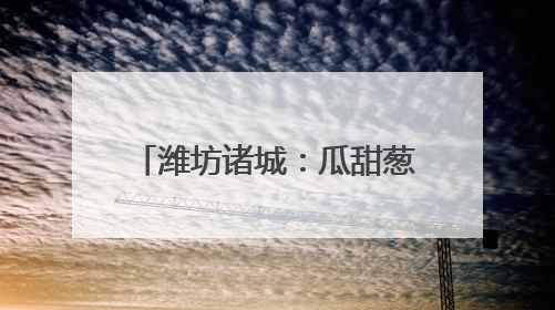 潍坊诸城：瓜甜葱郁处 产业好风光