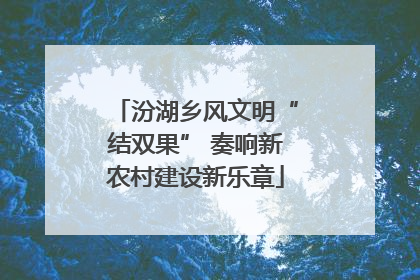 汾湖乡风文明“结双果” 奏响新农村建设新乐章