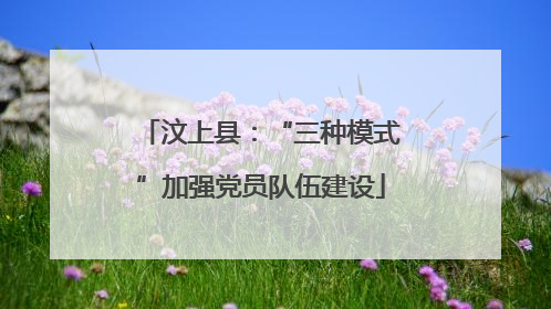 汶上县：“三种模式”加强党员队伍建设