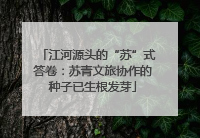 江河源头的“苏”式答卷：苏青文旅协作的种子已生根发芽