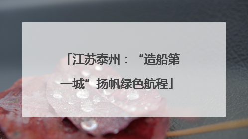 江苏泰州：“造船第一城”扬帆绿色航程