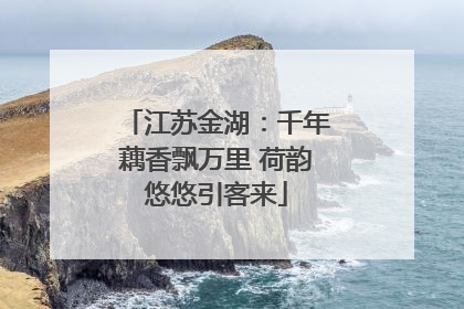 江苏金湖：千年藕香飘万里 荷韵悠悠引客来