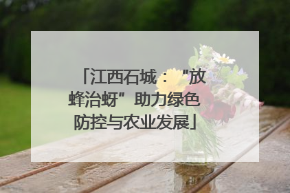 江西石城：“放蜂治蚜”助力绿色防控与农业发展