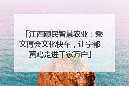 江西颐民智慧农业：乘文博会文化快车，让宁都黄鸡走进千家万户