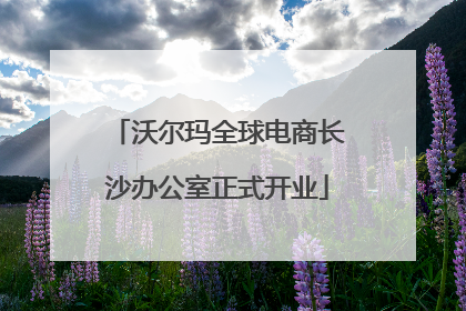 沃尔玛全球电商长沙办公室正式开业