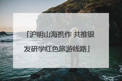 沪明山海携作 共推银发研学红色旅游线路