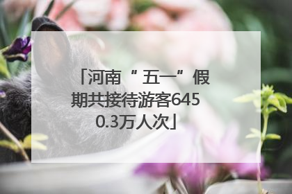 河南“ 五一”假期共接待游客6450.3万人次
