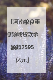 河南粮食重点领域贷款余额超2595亿元