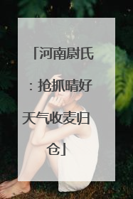 河南尉氏：抢抓晴好天气收麦归仓