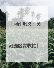 河南巩义：黄河滩区麦收忙
