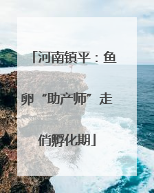 河南镇平：鱼卵“助产师”走俏孵化期