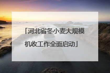 河北省冬小麦大规模机收工作全面启动