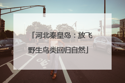 河北秦皇岛：放飞野生鸟类回归自然
