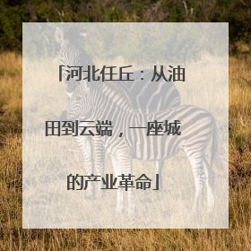 河北任丘：从油田到云端，一座城的产业革命