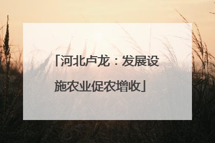 河北卢龙：发展设施农业促农增收