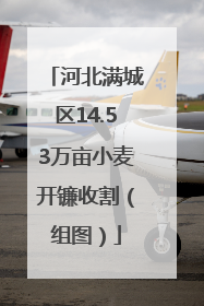 河北满城区14.53万亩小麦开镰收割（组图）