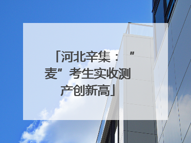 河北辛集：“麦”考生实收测产创新高