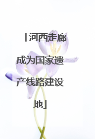 河西走廊成为国家遗产线路建设地