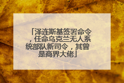 泽连斯基签署命令，任命乌克兰无人系统部队新司令，其曾是商界大佬