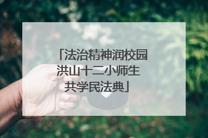 法治精神润校园 洪山十二小师生共学民法典