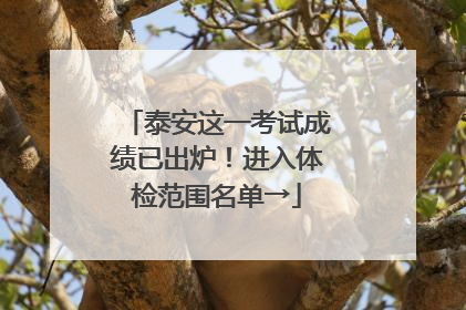 泰安这一考试成绩已出炉！进入体检范围名单→
