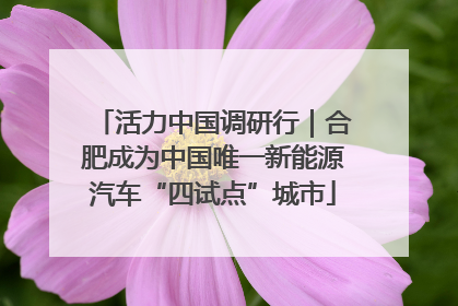 活力中国调研行｜合肥成为中国唯一新能源汽车“四试点”城市