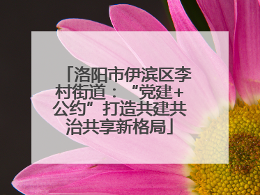 洛阳市伊滨区李村街道：“党建+公约”打造共建共治共享新格局