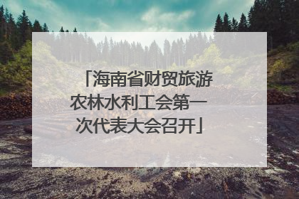 海南省财贸旅游农林水利工会第一次代表大会召开