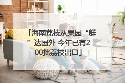 海南荔枝从果园“鲜”达国外 今年已有200批荔枝出口